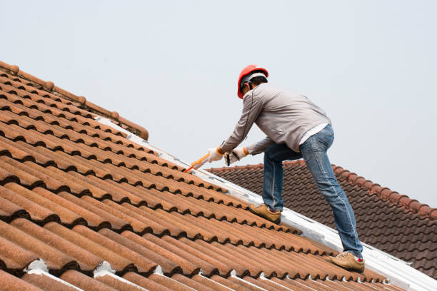 Best Roof Maintenance  in USA